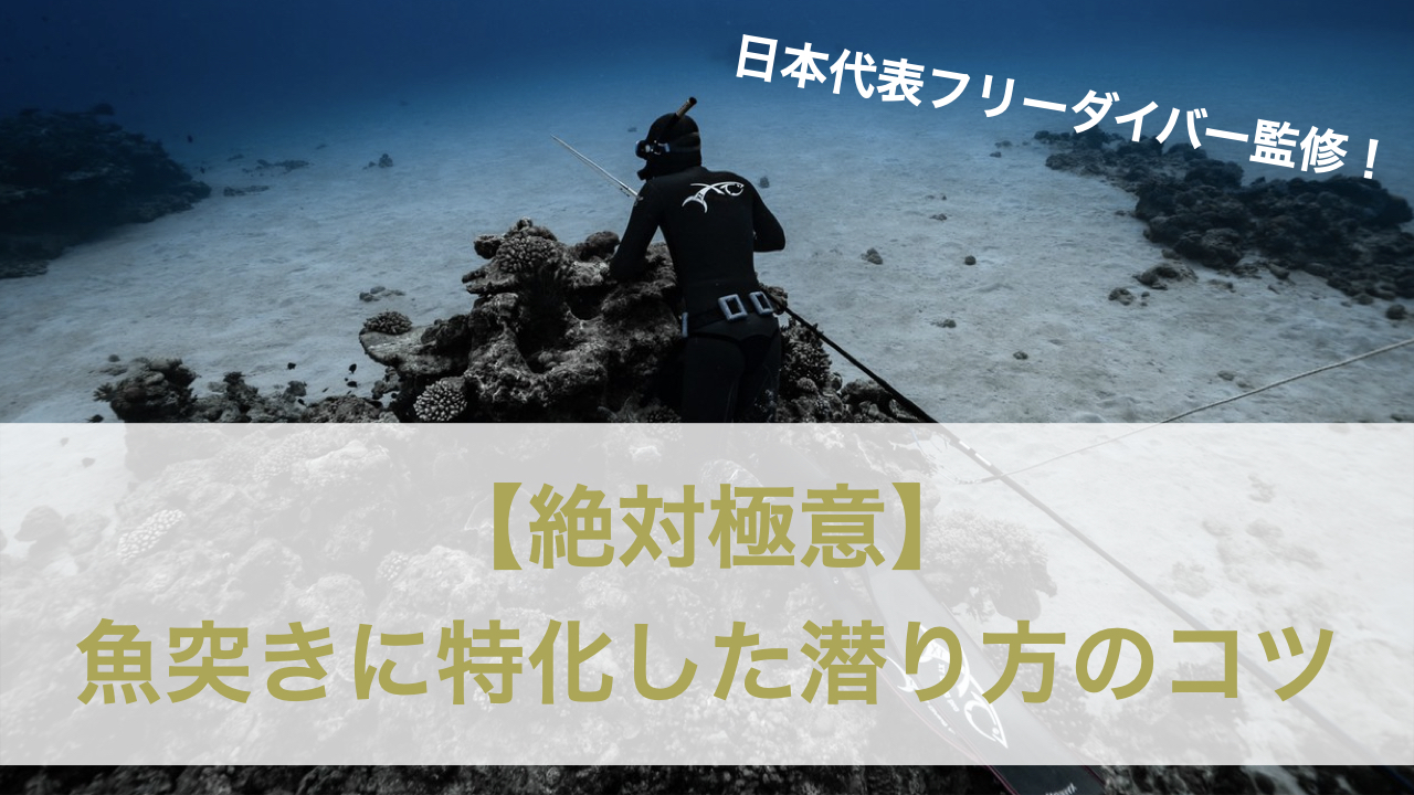 絶対極意 魚を突きたければ絶対にこの潜り方を身に付けよう 魚突き 素潜り 無人島 お魚わっしょい