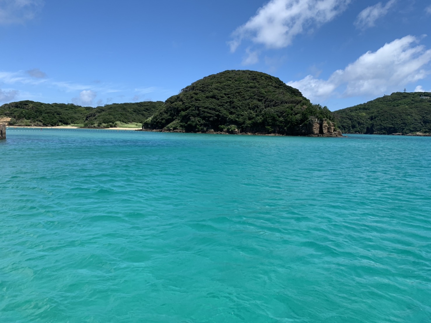 ルールとマナー番外編 魚突きでの失敗談と学び 魚突き 素潜り 無人島 お魚わっしょい
